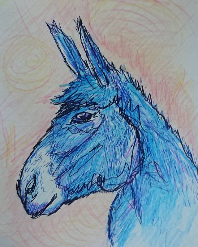 Ane bleu