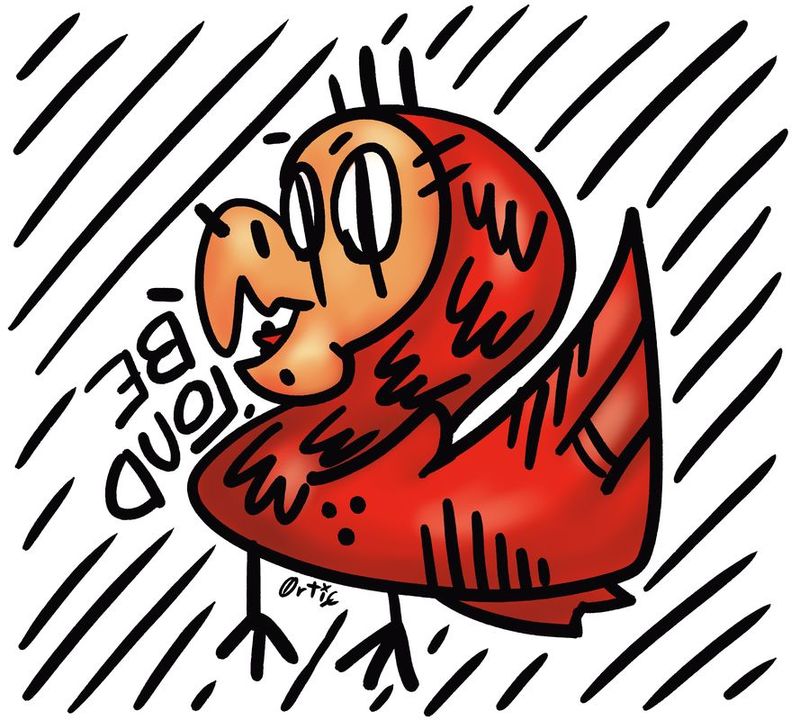 Be loud paraket