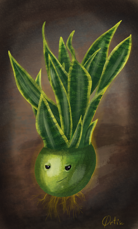 snakeplant